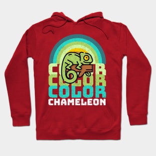 Color Color Color Chameleon Vintage Rainbow Hoodie